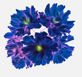 F 053D